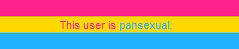 Is Pansexual
