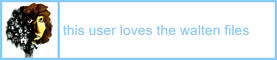 This user loves The Walten Files