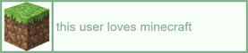 This user loves Minecraft