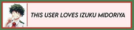 This used loves Izuku Midoriya